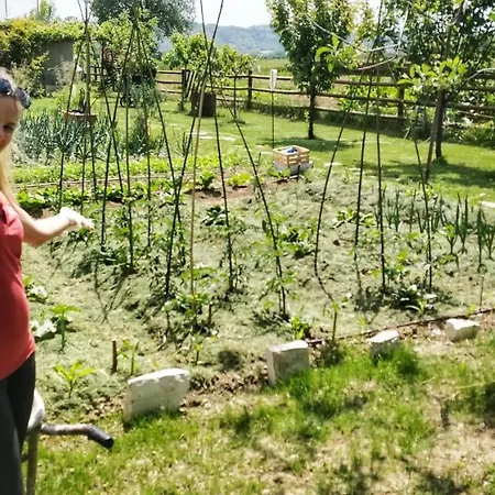 Bed & Breakfast La Luna Nel Parco