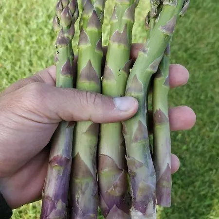 La Luna Nel Parco 4*
