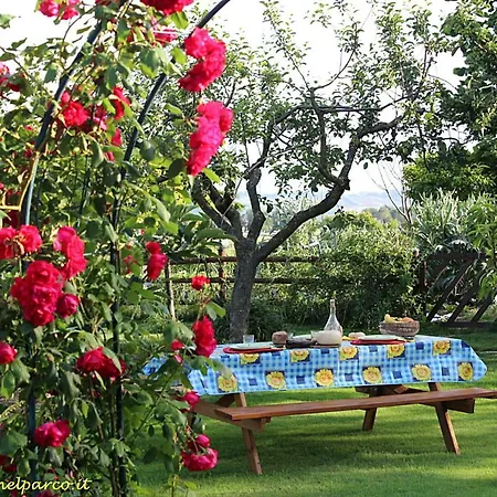 La Luna Nel Parco Bed & Breakfast